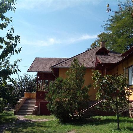 Villa Kundalini Balatonalmádi Zewnętrze zdjęcie