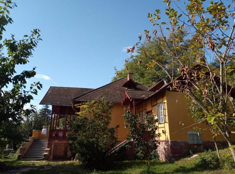 Villa Kundalini Balatonalmádi Zewnętrze zdjęcie